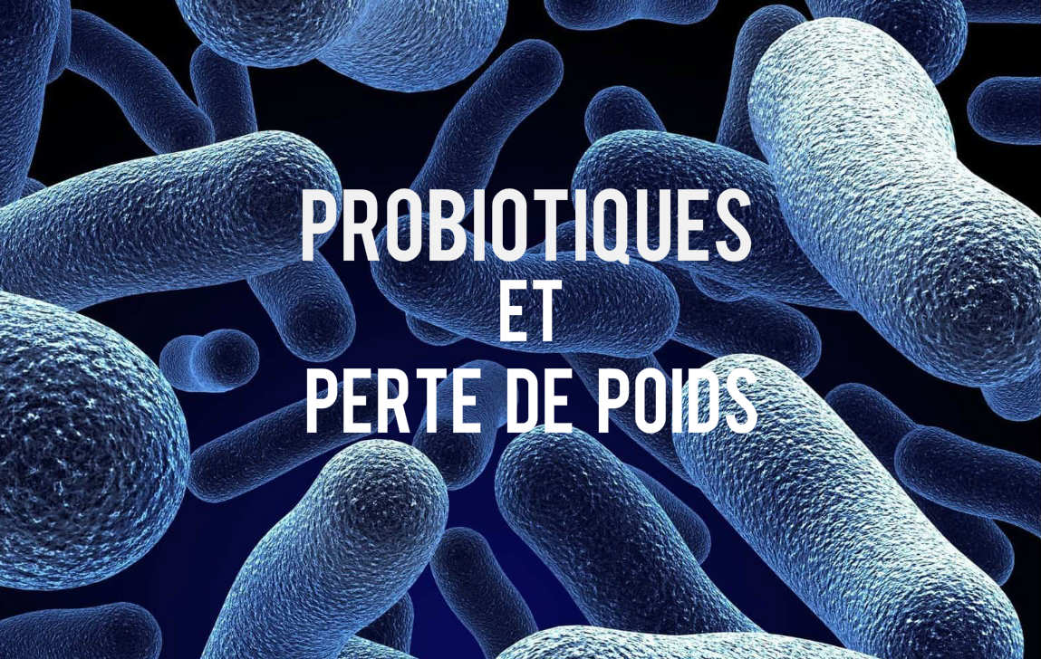 Probiotiques, ces bactéries amies qui participent à la perte de poids